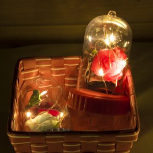 Beauty and the Beast Battery Powered LED Rose Bottle Night Light String Light Desk Lamp Romantic Valentine's Day Birthday Gift