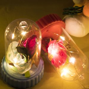 Beauty and the Beast Battery Powered LED Rose Bottle Night Light String Light Desk Lamp Romantic Valentine's Day Birthday Gift