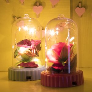 Beauty and the Beast Battery Powered LED Rose Bottle Night Light String Light Desk Lamp Romantic Valentine's Day Birthday Gift