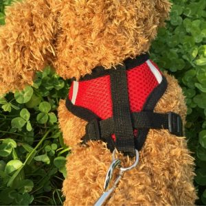 Adjustable Soft and Comfortable Small Dog Vest Harness Fashion Nylon Mesh Harness S/M/L