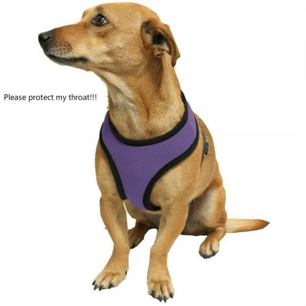 Pet Products Soft Mesh Padded Dog Harness Pet Puppy Vest Dog Cat Chihuahua Collar Belt Harness Adjustable Safety