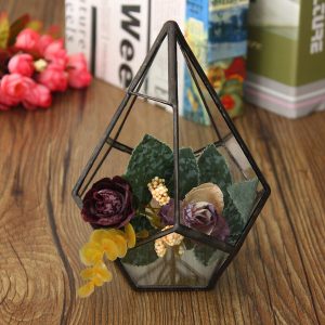 Succulent Plant Triangle Greenhouse Glass Terrarium DIY Micro Landscape Glass Bottle