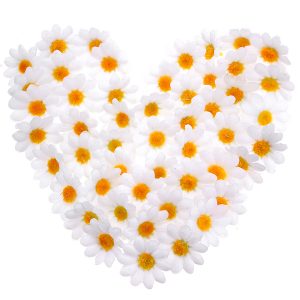 50pcs Silk Artificial Daisy Flowers Heads Home Wedding Decors