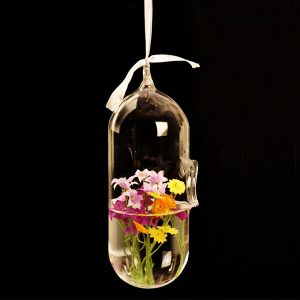 Hydroponic Plants Flower Pill Shape Hanging Glass Vase Home Decor