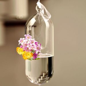 Hydroponic Plants Flower Pill Shape Hanging Glass Vase Home Decor