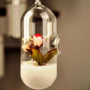 Hydroponic Plants Flower Pill Shape Hanging Glass Vase Home Decor