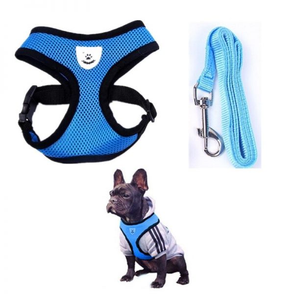 Adjustable Soft and Comfortable Small Dog Vest Harness Fashion Nylon Mesh Harness S/M/L