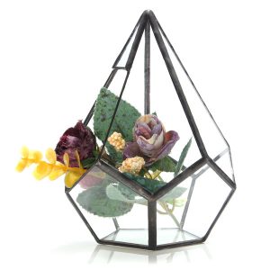 Succulent Plant Triangle Greenhouse Glass Terrarium DIY Micro Landscape Glass Bottle